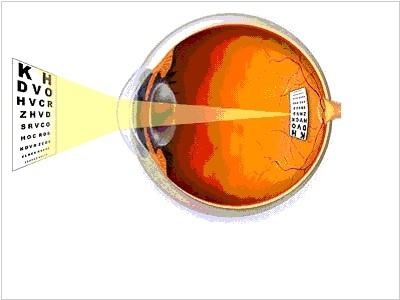 Стволовые клетки сетчатки глаза япония